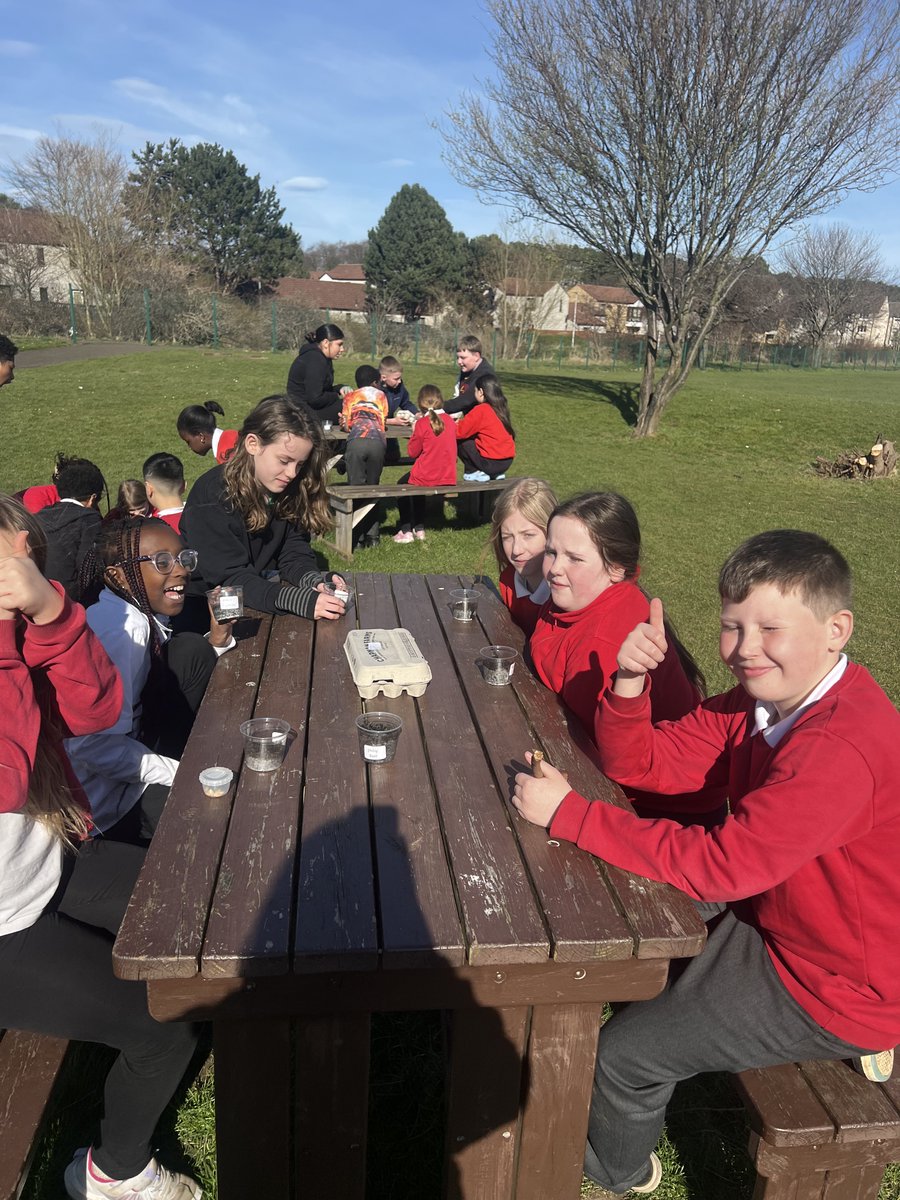 St Mark's RC Primary School tweet media