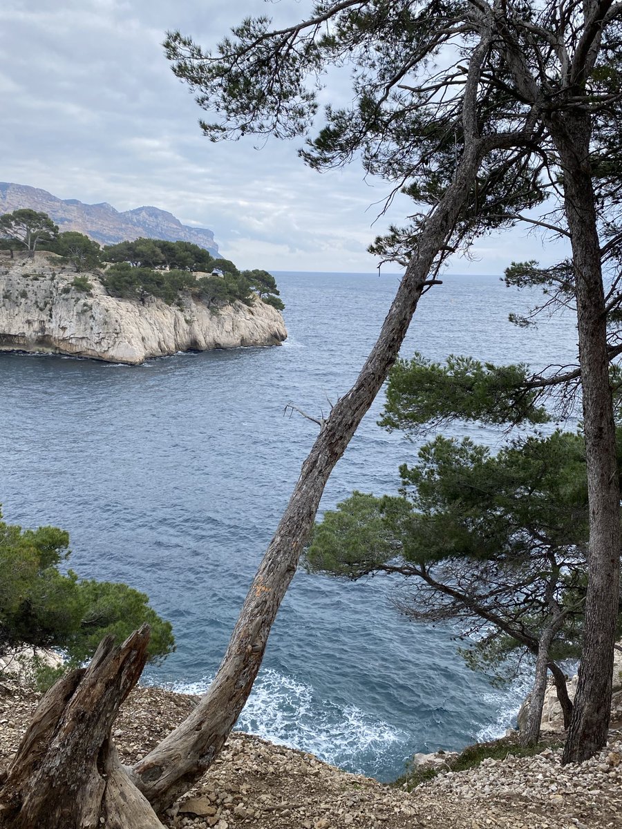 Image de Préfet de la région Provence-Alpes-Côte d'Azur