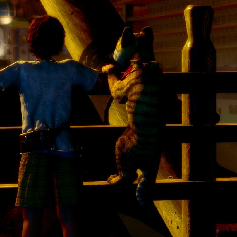 ゴローが可愛すぎる