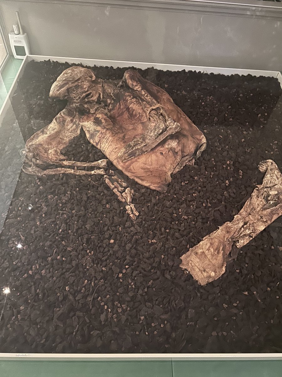 Discovery Primary School Year 3 tweet media