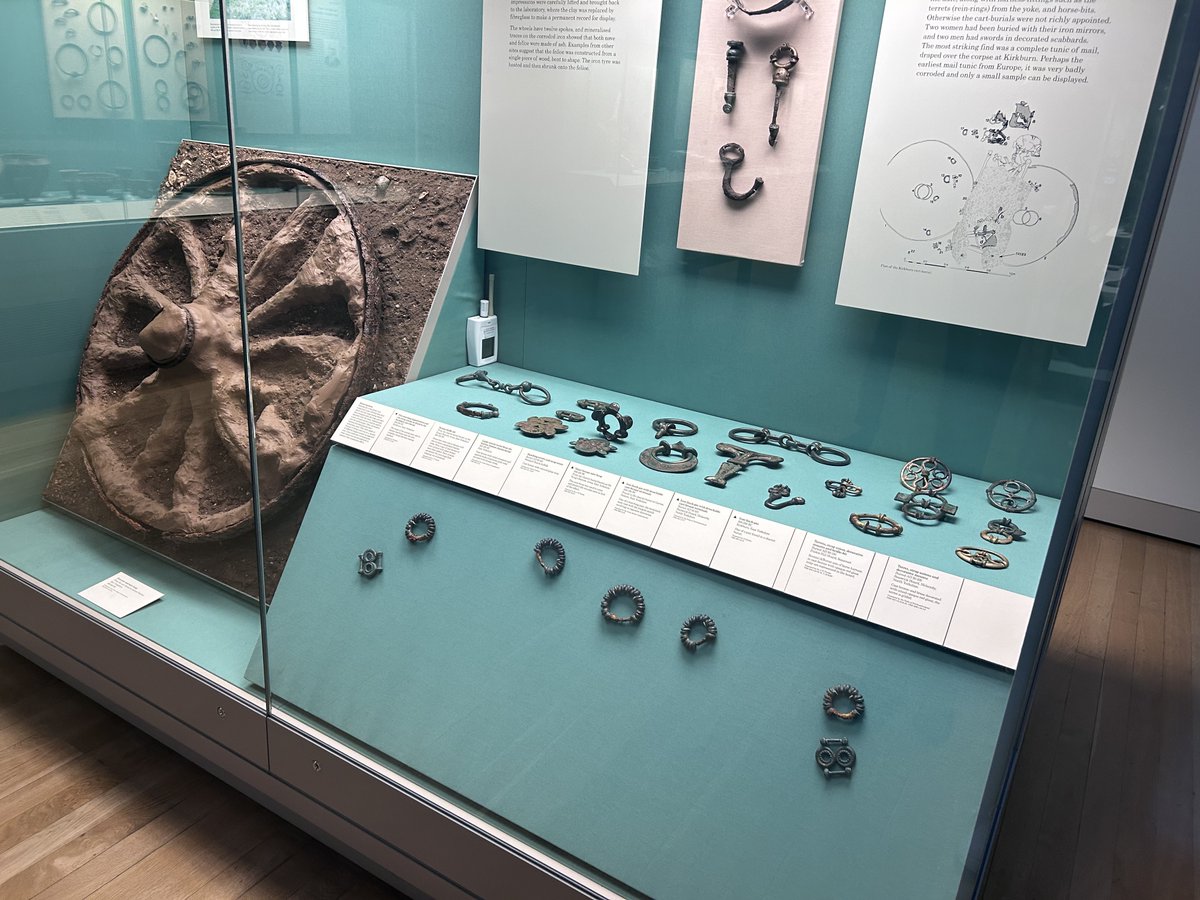 Discovery Primary School Year 3 tweet media