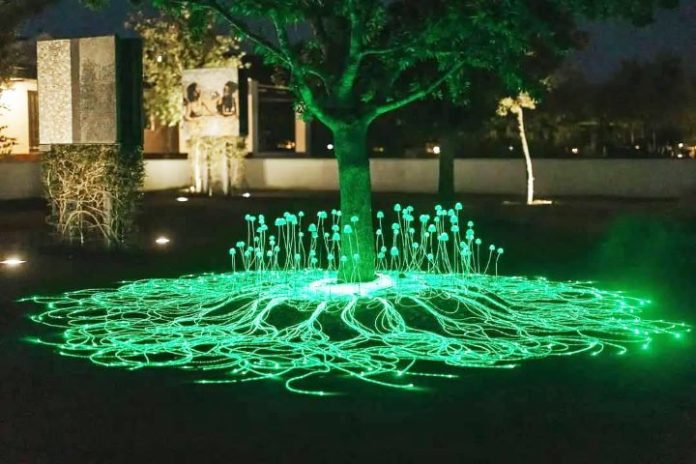 thenewspapersa's tweet image. Spier Light Art 2025 is ON! Sixteen glowing installations. One magical nightscape. Free, family-friendly, &amp;amp; pure enchantment. Read more: tinyurl.com/36hxfv4p
#SpierLightArt #CapeTownEvents #LightArt #SkyCan