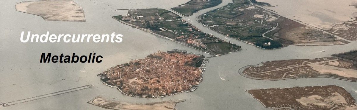 📢 EAN - <a href="/Enviro_Ant/">EASA EnviroAnt Network</a> - HOLB Workshop
Undercurrents Metabolic

Ca’ Foscari University of Venice (<a href="/CaFoscari/">Unive Ca' Foscari</a>), Italy
📅 19-21 May 2025

Find out more >>
buff.ly/OVoDIfb