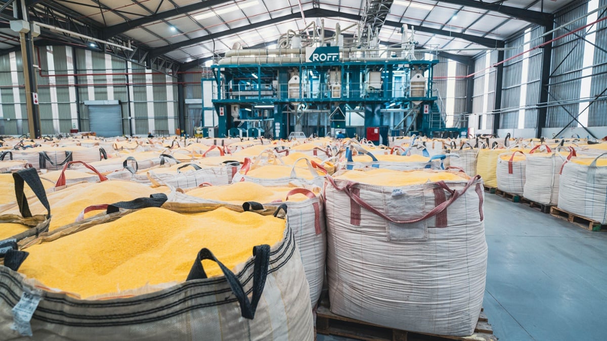 RoffMills's tweet image. Roff has a #maize #mill for every need, from start-ups to large commercial set-ups. One thing all our mills have in common? Class-leading extraction rates and superior quality. Browse the range here: hubs.li/Q038XKXF0  #MillingSolutions #QualityMilling #EfficientExtraction