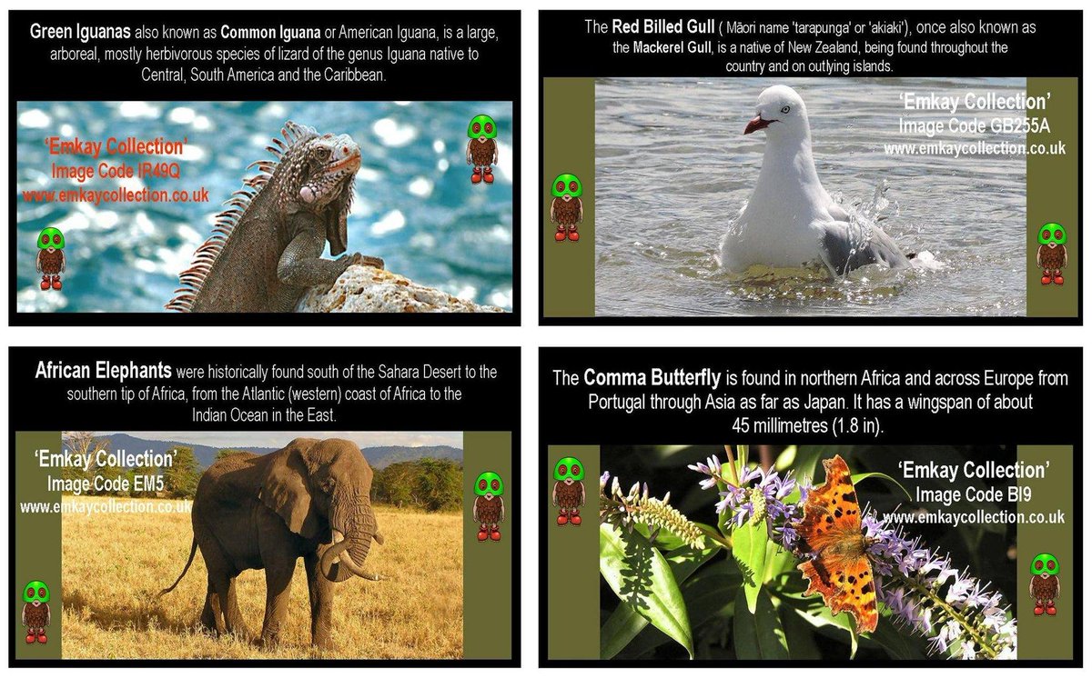 FREE OUTSIDE LEARNING WORKSHEETS + MORE.
Please check out many FREE Nature &amp; Wildlife Worksheets and pass on the Links to friends and family. emkaycollection.co.uk/index.php?rout… - #emkaycollection #emkaywonderment #gooutsideEmkayNature - #emkayFUN 👍😃 💚 <a href="/followers/">はうはう</a> <a href="/everyone/">Everyone</a> <a href="/highlight/">highlight</a>