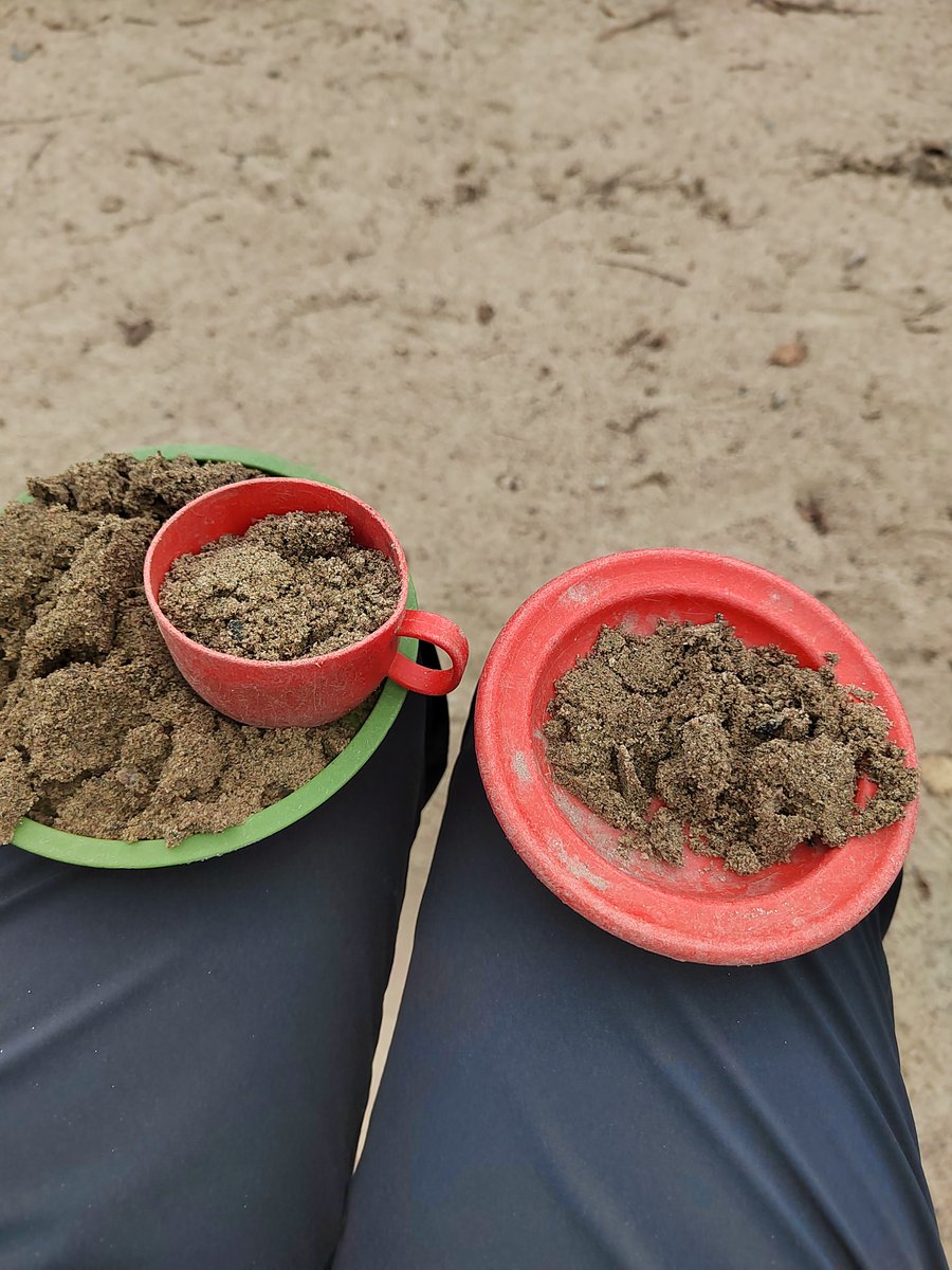 Maija Isokorpi tweet media