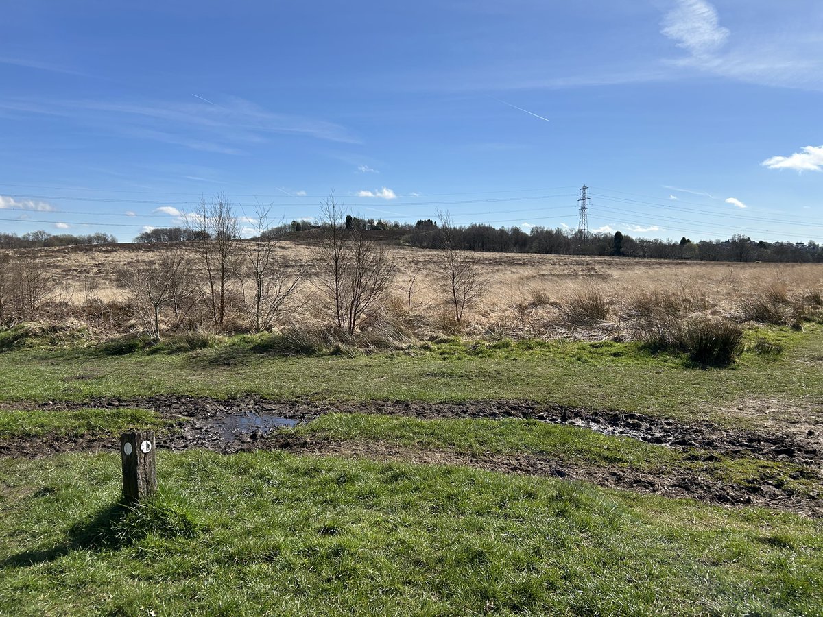 tmcp1234's tweet photo. Todays trail run not quite the same as the last couple #home #trails #trailrunning #stokeontrent #wetleymoor https://t.co/uG9xX07tVG