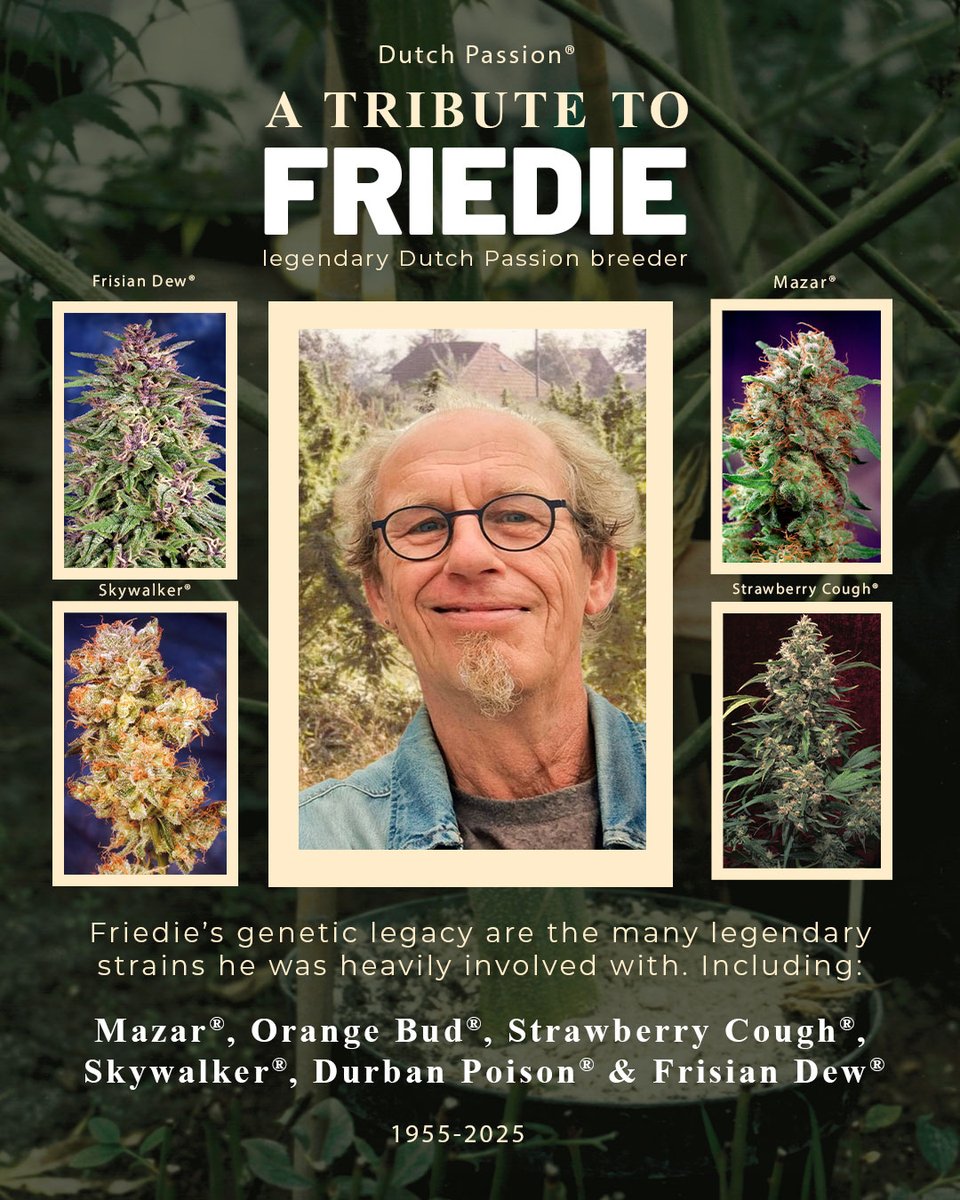 We say goodbye to Friedie, a true pioneer whose passion &amp; dedication shaped our journey. His contributions laid the foundation for so much of what we do today &amp; his legacy will live on.

Thanks Friedie. You will never be forgotten. 💚

Read our tribute➡️tinyurl.com/2y4yemyb