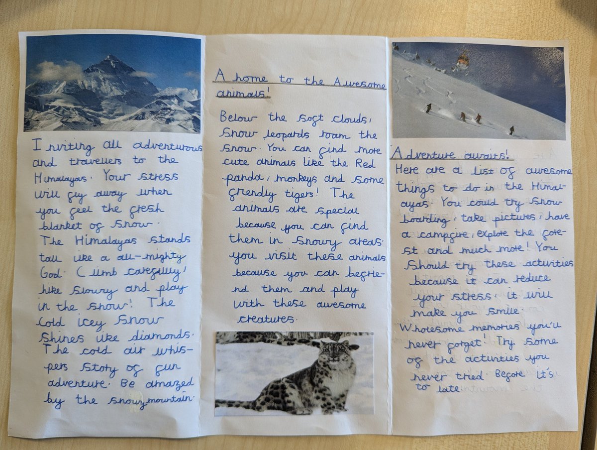 Foxfield - Year 4 tweet media