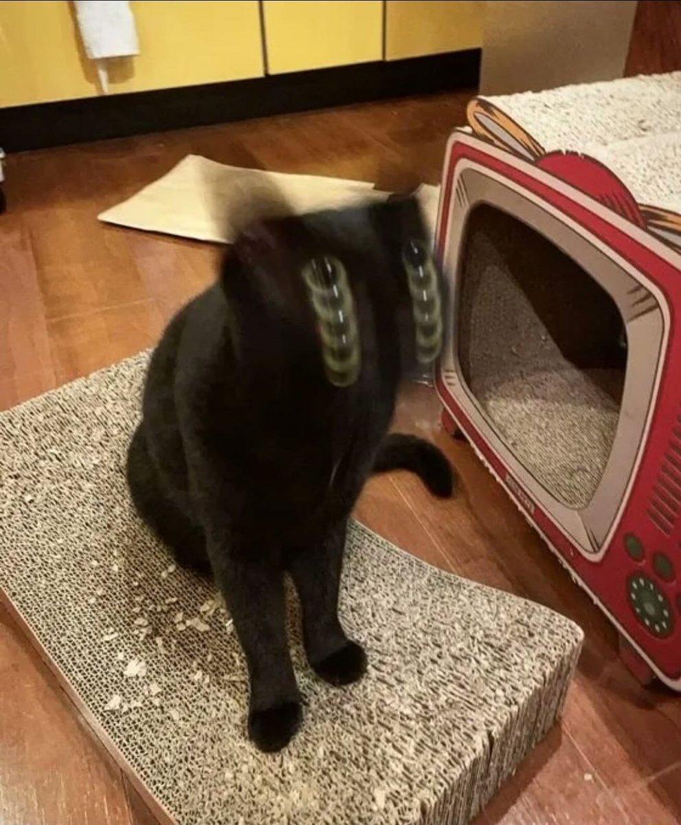 PunchingCat tweet picture