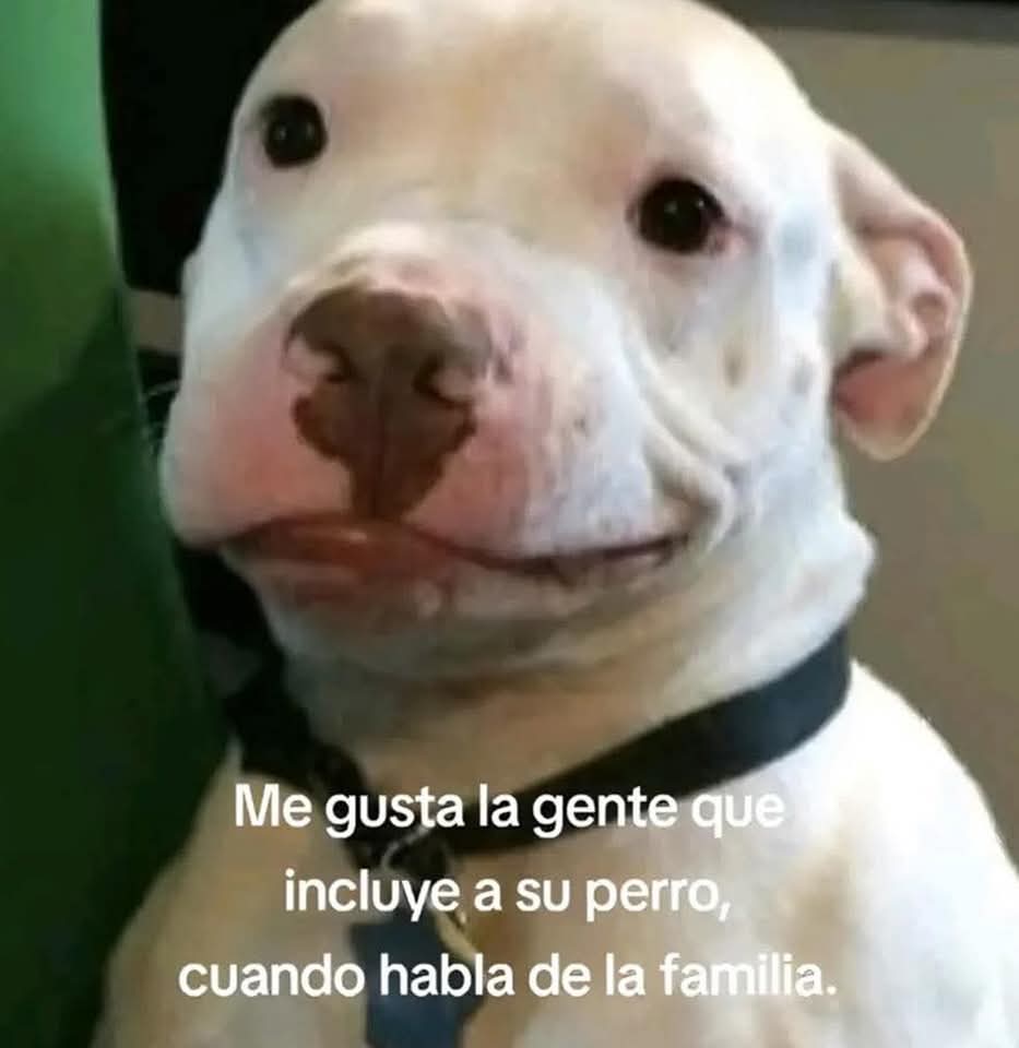 En Júpiter (@en_jupiter_) on Twitter photo 