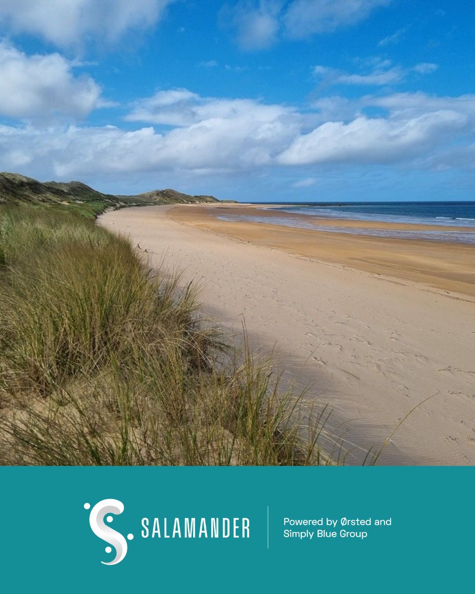 The #SalamanderFloatingWind Farm has secured Planning Permission in Principle for its onshore infrastructure, an important milestone on the journey to delivering 100 MW of innovative #floatingwind power off #Scotland’s east coast.👏👏More info here: shorturl.at/eEXVM