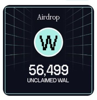 !z | shakethat.base.eth tweet media