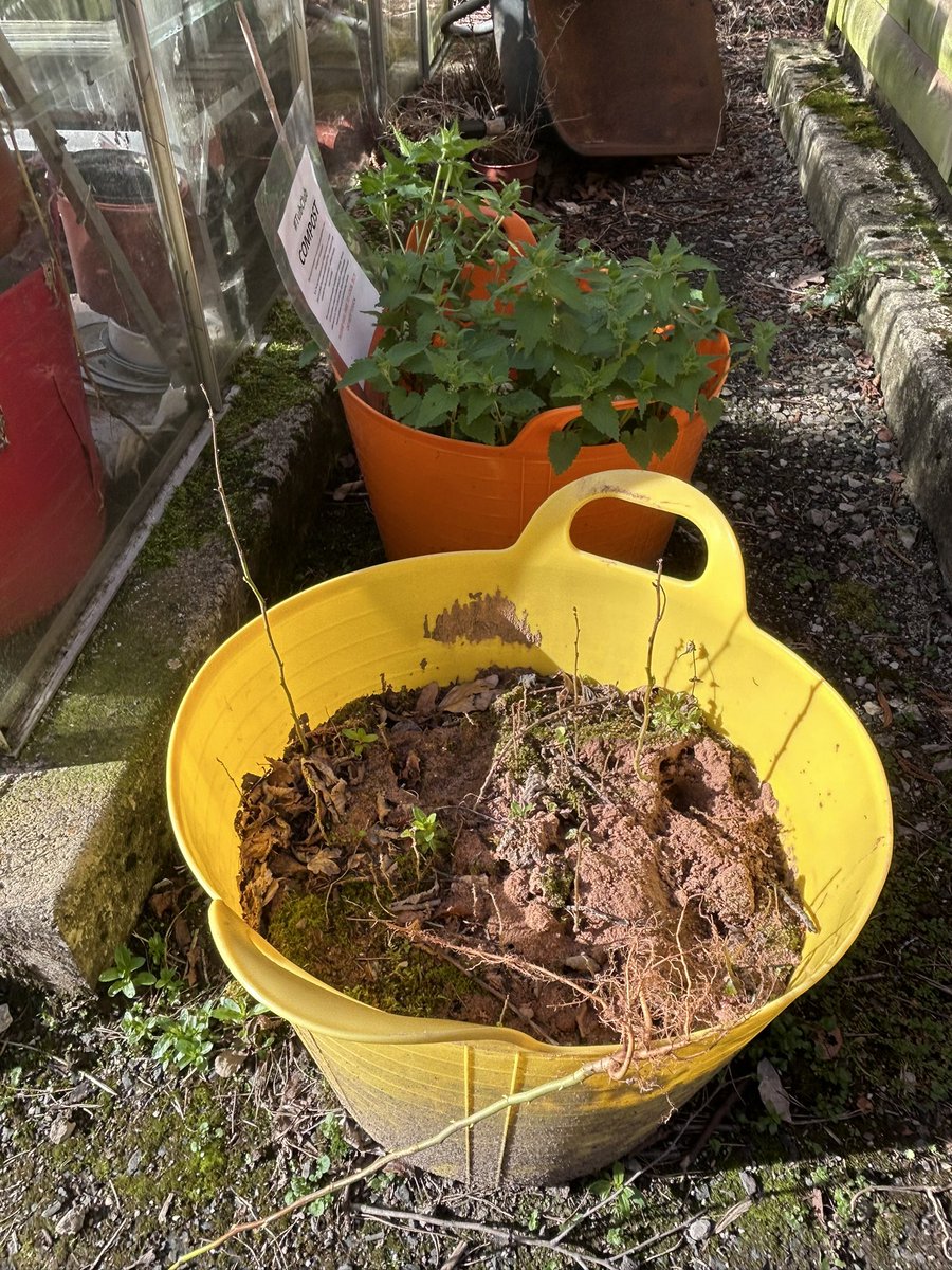 #TubClub update March 2025