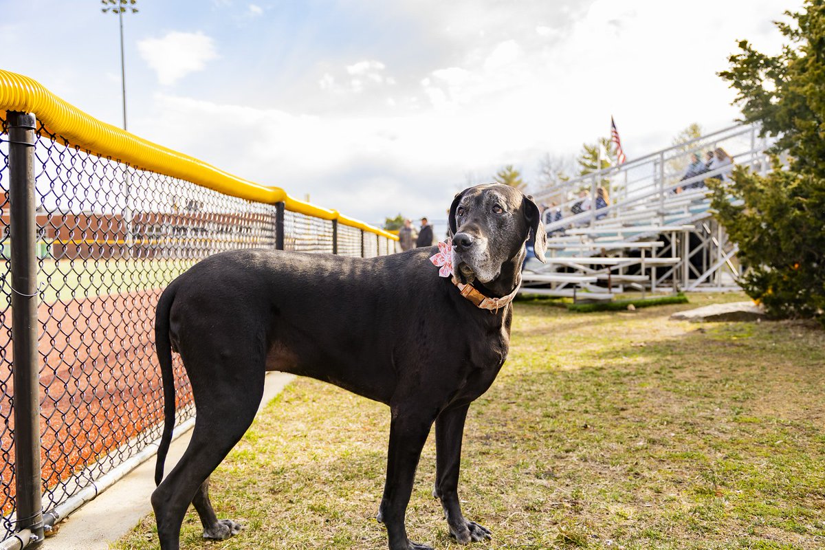 Another great day at the ballpark 👌

#GoGulls