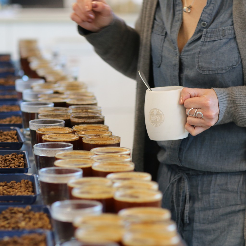 Did you know our certified coffee tasters taste each coffee we work with both before and after the decaffeination process? It's all part of the highest level of quality control + attention to sensory detail that let us promise you a truly delicious cup of coffee without caffeine.