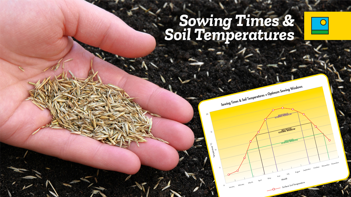 BarenbrugUK's tweet photo. Timing is crucial for successful grass seed establishment, and soil temperature, not air temperature, is key. PRG mixtures offer about 20 extra weeks for sowing compared to Bentgrass and 7 weeks more than #RedFescue. For more details, visit: https://t.co/WZ3XoT1nxI

#BarenbrugUK https://t.co/cXXqx3romk