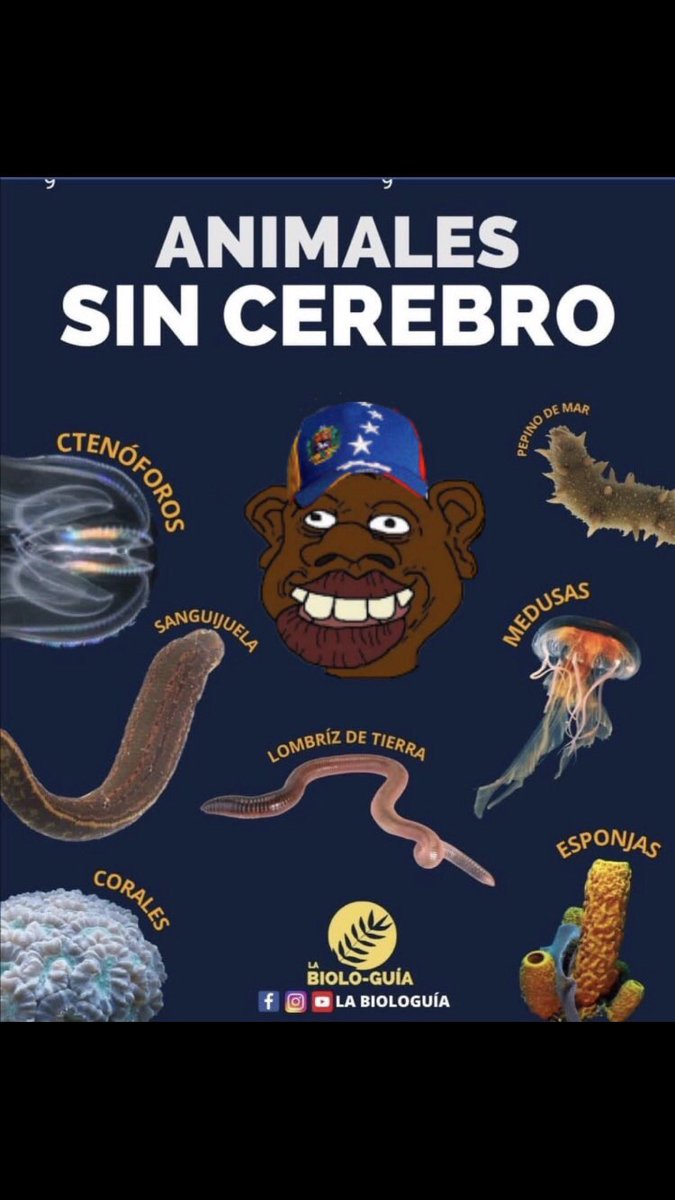 Pablo5035978466's tweet image. 