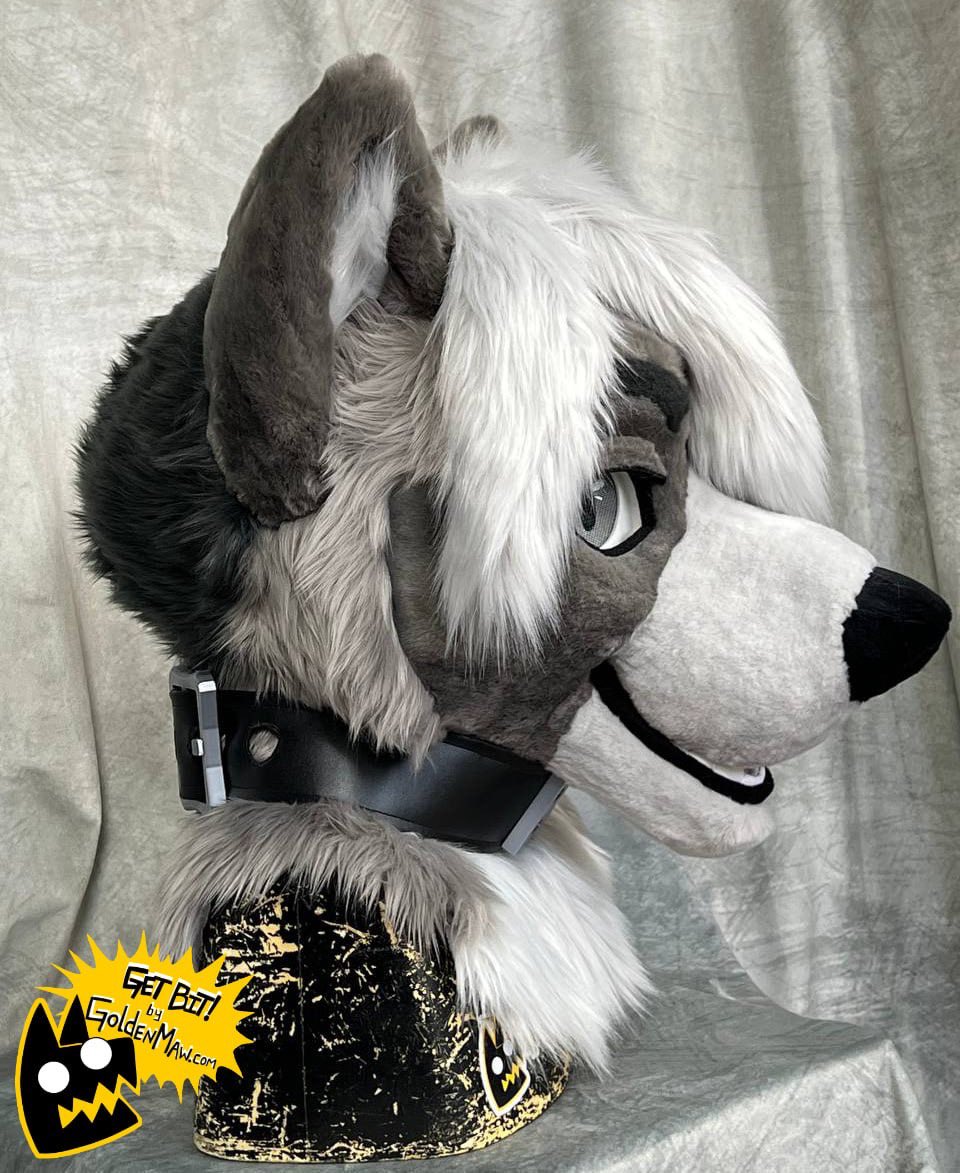 He’s shy around girls