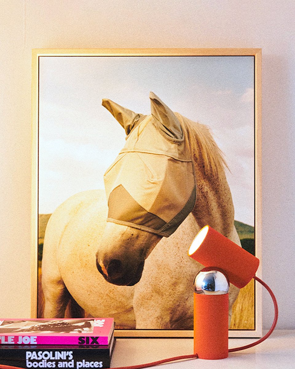 stillucestore's tweet image. #BilboquetLamp 💡 Un design giocoso incontra la sostenibilità: colori vivaci, orientabile in ogni angolo e totalmente smontabile 🔄♻️ Dai vita ai tuoi spazi con un tocco di creatività e #sostenibilità 
stilluce-store.it/prodotto/flos-…
#StilluceStore #Flos #FlosLighting #PhilippeMalouin