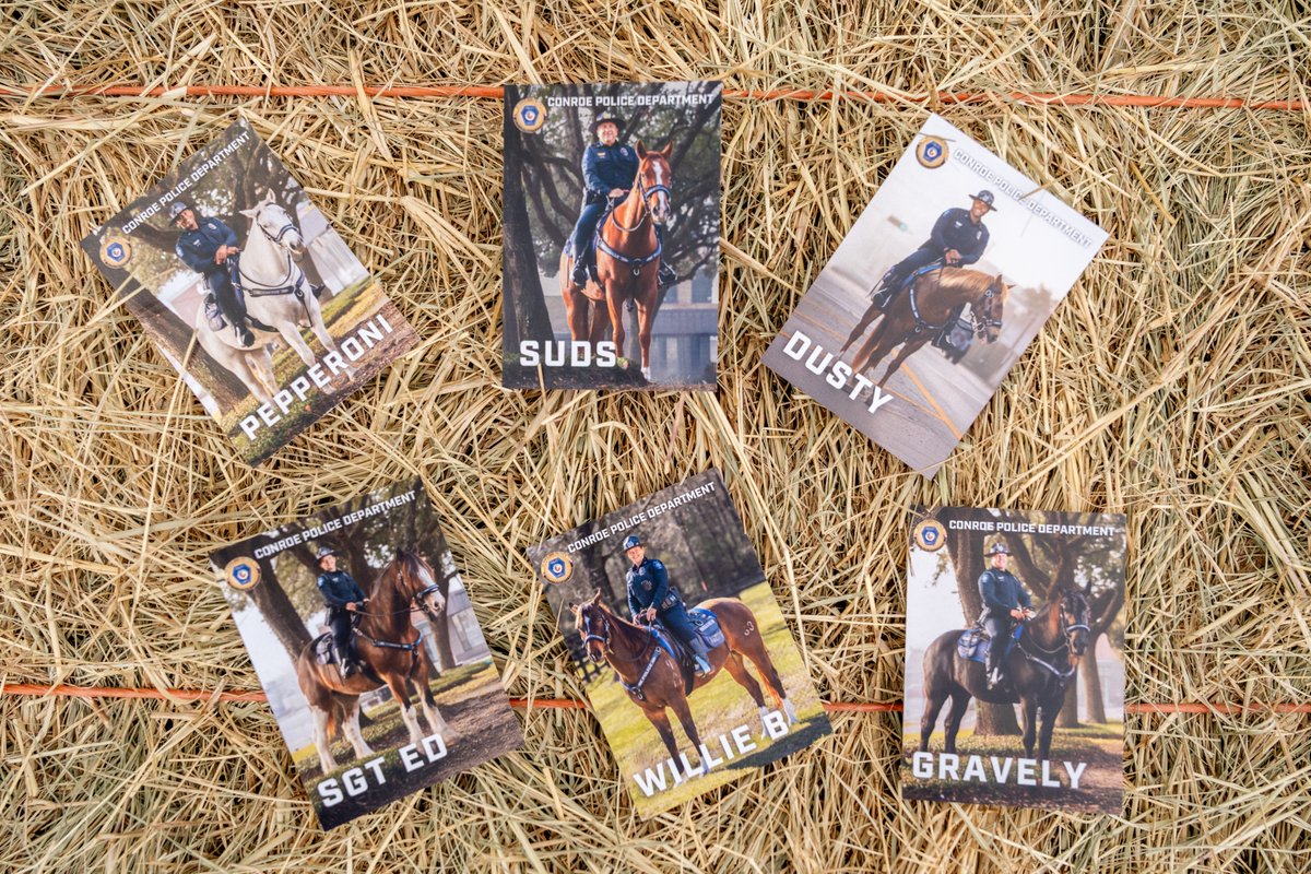 The Conroe Police Department's Mounted Patrol Unit is thrilled to introduce its first trading card! Mounted patrol officers will distribute them during patrols and community events. Try to collect them all.