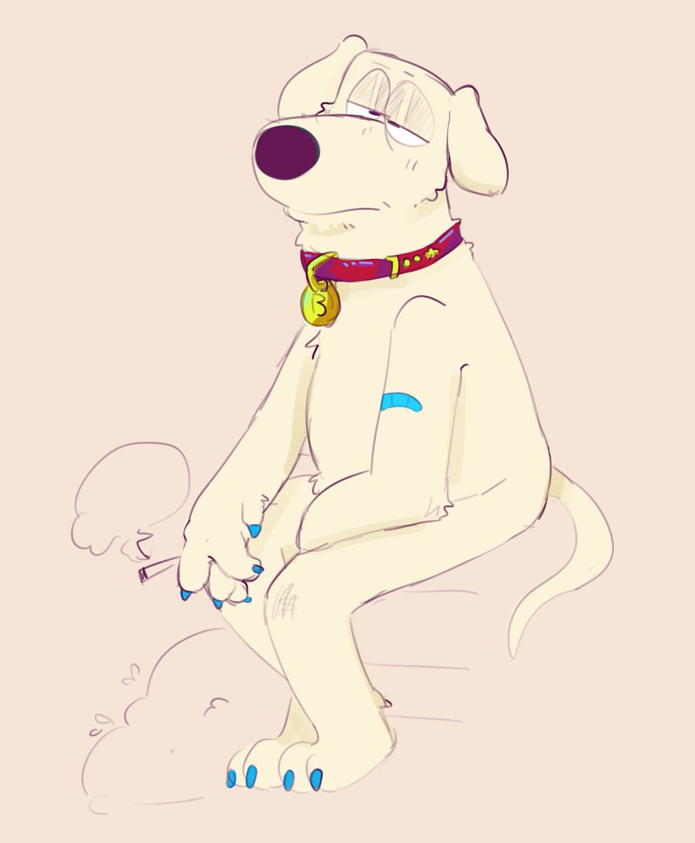 lucky hes a family dog