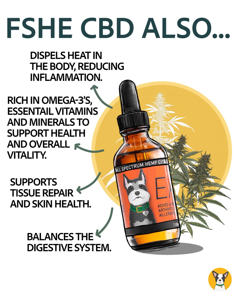 Did you know Traditional Chinese Veterinary Medicine (TCVM) teaches that every herb, food, and supplement carries an energetic quality that influences your pet’s overall balance. ⚖️🌿 cbddoghealth.com/energetics-of-…