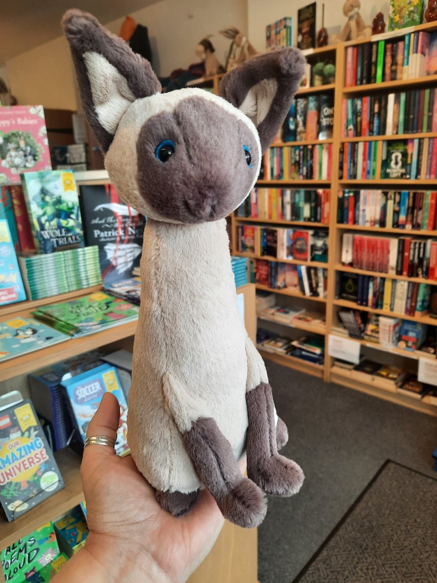 JosBookshopChingford (@chingfordbooks) on Twitter photo ✨️New Jellycat Arrivals✨️
Bashful Beige Bunny Birthday
Amuseable Vicky Teapot
Colin Chameleon
Iris Siamese Cat
Run as safely as possible. Do not walk 🏃♂️  #MagicOfTheBookshop 📚 #Jellycat #BashfulBeigeBunnyBirthday #ColinChameleon #AmuseableVickyTeapot #IrisSiameseCat ✨️New Jellycat Arrivals✨️
Bashful Beige Bunny Birthday
Amuseable Vicky Teapot
Colin Chameleon
Iris Siamese Cat
Run as safely as possible. Do not walk 🏃♂️  #MagicOfTheBookshop 📚 #Jellycat #BashfulBeigeBunnyBirthday #ColinChameleon #AmuseableVickyTeapot #IrisSiameseCat
