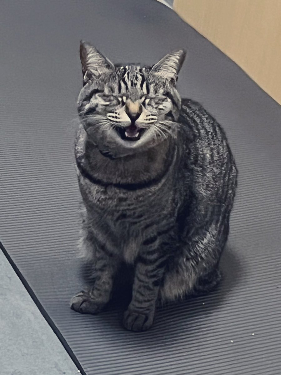 鳴く時目を閉じるの可愛い。