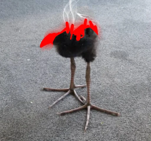 Birdificatiooon's tweet photo. So you're telling me ification meta is here...meanwhile $BIRD #BIRDIFICATION was first?

REGENERATION!!!!! https://t.co/zrt0TuNRgf