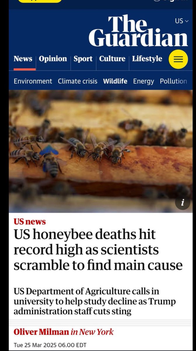 Concerned Citizen tweet media