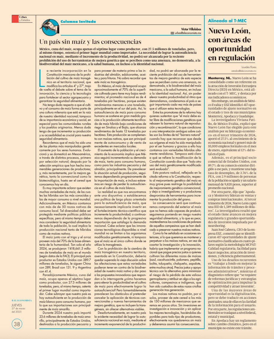 #BuenDía
#JuevesDeOpinión Los invito a leer mi artículo en <a href="/eleconomista/">El Economista</a>: “Un país sin maíz y las consecuencias”. Sin duda, un tema en el que deberemos seguir reflexionado y actuando con responsabilidad.
👉🏼📰: eleconomista.com.mx/opinion/pais-m…