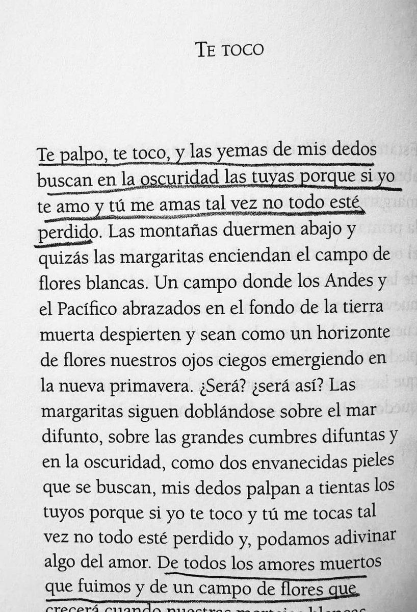 😮‍💨❤️‍🩹