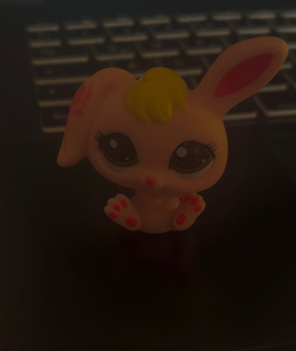 tinydinosour_'s tweet photo. I got a new LPS for my collection 🫀
#lps #agere #ageretwt #ageregression  #ageregear #littlestpetshop https://t.co/VJof6yAq7Q