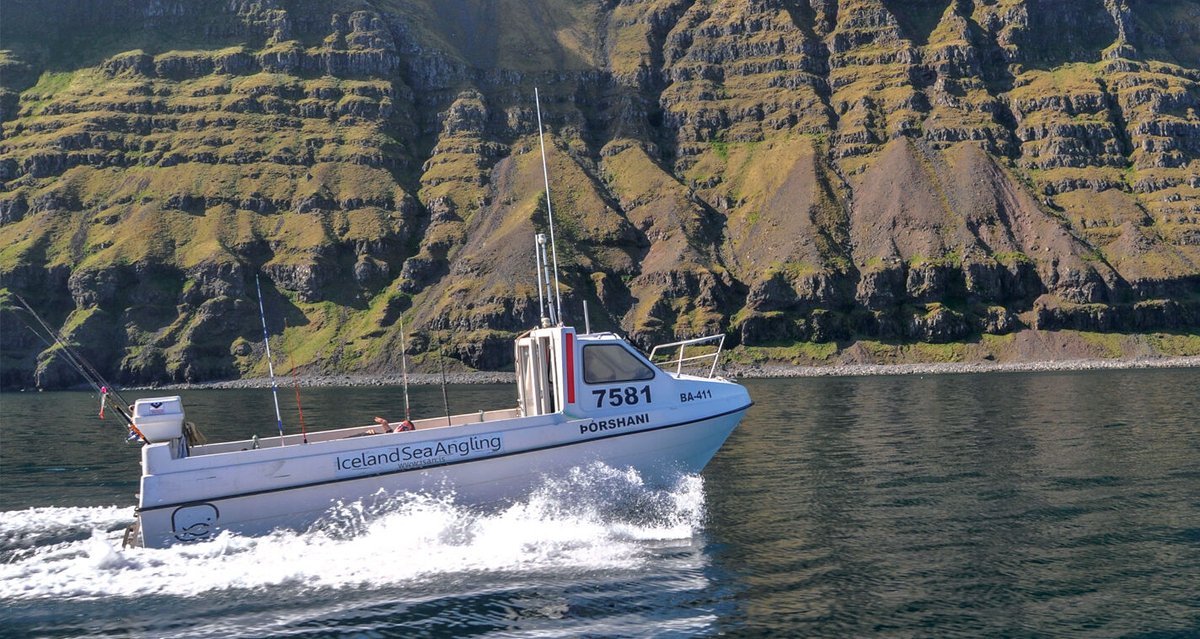AnglersworldHol's tweet photo. Want to fish in one of the world’s most breathtaking locations? Iceland offers pristine waters and unforgettable catches. Call 01246 221717 to start planning! 🌿🎣 https://t.co/wzws9WFhkA
