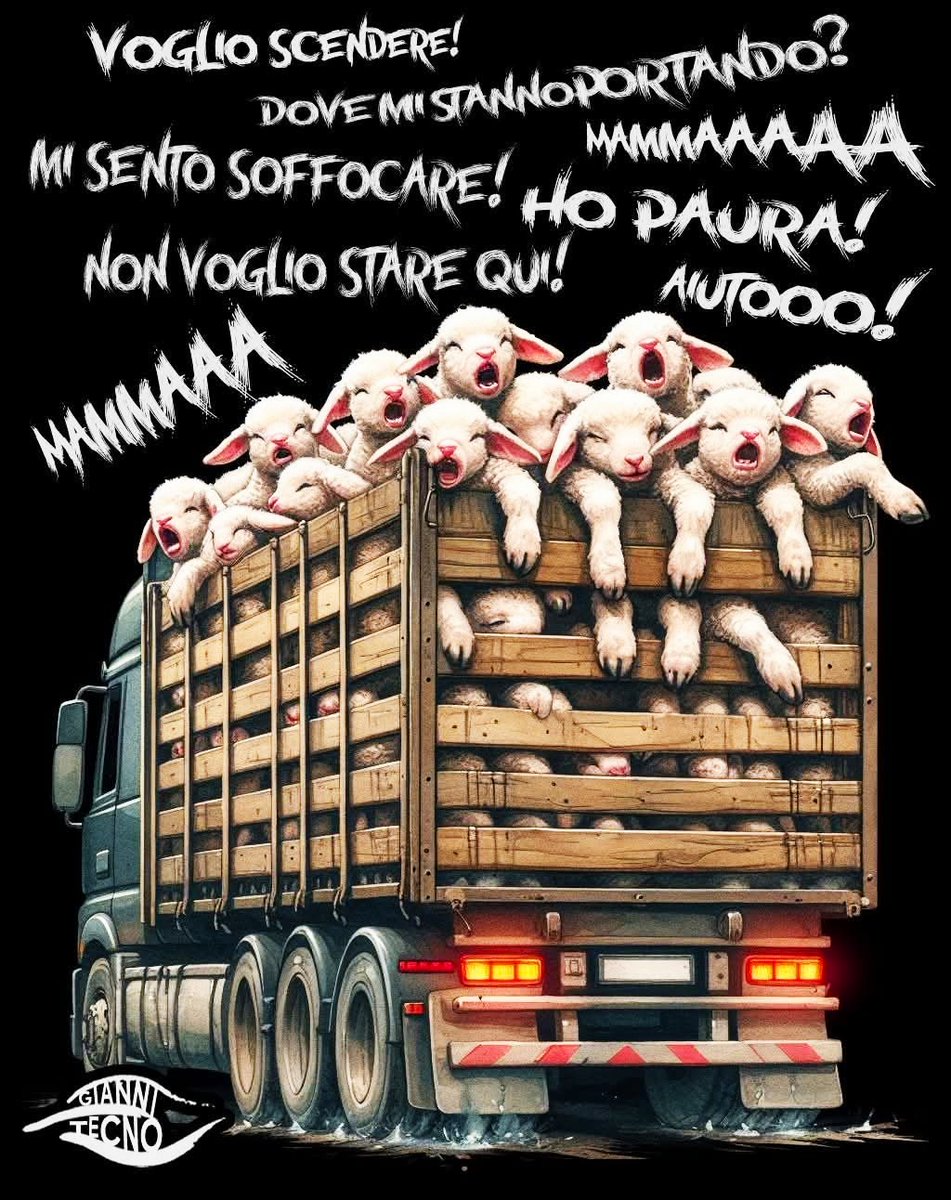 gianni_runco's tweet photo. Violenza e indifferenza porteranno l'umanità all'estinzione. Go Vegan! #SaveTheLamb #pasquavegan #GoVegan #AnimalRights #veganfood #veganism #veganlife #crueltyfree #Vegan #nomeat #vegano #nomilk #AnimalLovers #animalliberation #plantbased #vegetables #veganrevolution #empatia https://t.co/slbUayIwos