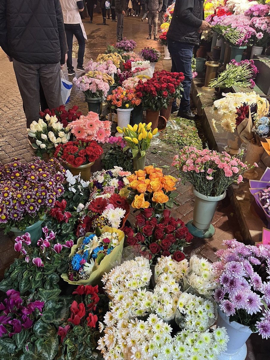 görünce içimin kıpır kıpır olduğu şu manzaraa