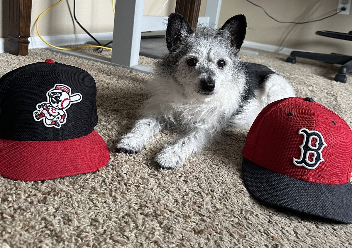 Fenway Parker or Great American Ball Parker, either way, Happy Opening Day!!!