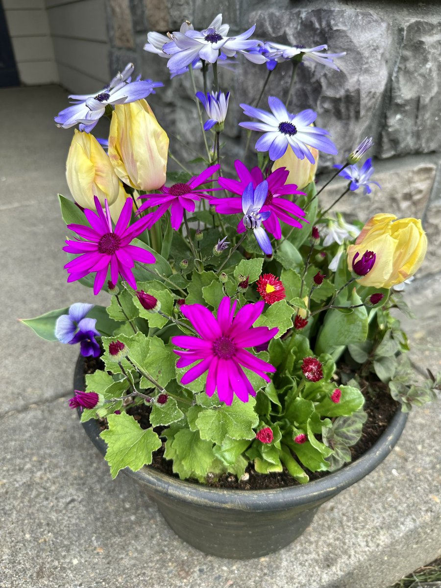 Nancy D. Brown tweet media