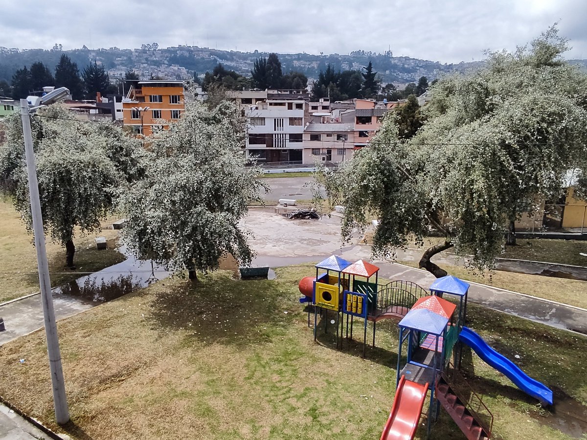 Señores <a href="/zonaeloyalfaro/">Zonal Eloy Alfaro</a> <a href="/ObrasQuito/">Obras Quito</a> #parquesyjardines #Quito ...en el parque Fultón, ubicado en la Cdla. México, calles Paute, Upano y Daule, así es como luce este espacio. Basura, árboles por caerse y charcos de agua estancada. Solucionar, gracias 🫂