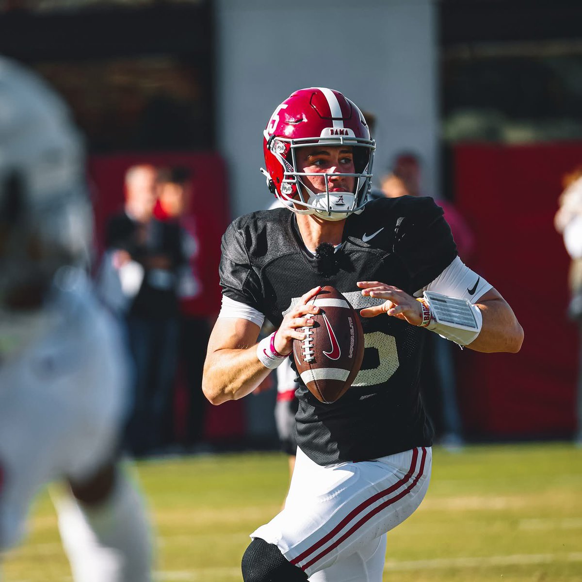 The Bama Standard Network©️🐘 tweet media