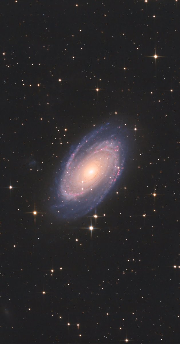 Bode’s Galaxy - M81

Constellation: Ursa Major
Distance: 11.6 million light-years
Object Type: Spiral Galaxy

Imaging Camera: ZWO ASI585MC Pro
Imaging Scope: Askar 80PHQ
Mount: iOptron GEM28 EC
Source: Florida, Puerto Rico 

#astronomy #astrophotography #puertorico #space
#m81