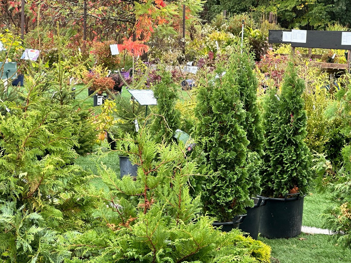 News from Blomidon Nurseries! 🌱

🌳 TREES &amp; SHRUBS:
Enjoy a FREE 5-Year MYKE Warranty on all trees and shrubs
🌸 PERENNIALS:
VIP Garden Club members now get an exclusive 3-Year Perennial Warranty — just one more reason to join the club!
hubs.li/Q03dN3260