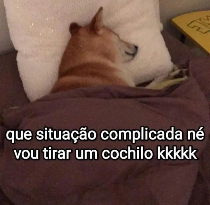 soudesabafosofc's tweet image. 