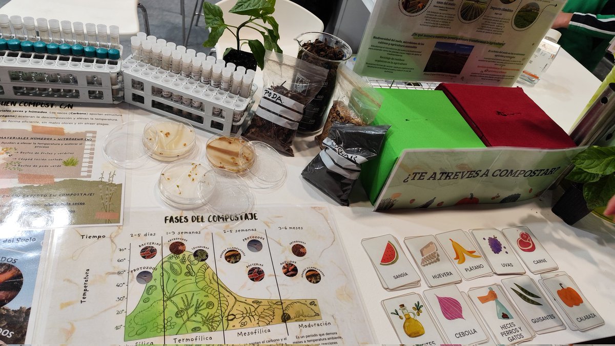 Beatriz Jiménez Prieto (@primatecuriosa) on Twitter photo Hoy hemos llevado el suelo al IFEMA en #MadridEsCiencia25 🌱 Hablamos de los organismos que lo habitan, disfrutamos del aroma del suelo y terminamos con un juego sobre compostaje ¡hemos visto que el suelo está más vivo de lo que parece! 🌍<a href="/CSICdivulga/">CSIC Divulga</a> Hoy hemos llevado el suelo al IFEMA en #MadridEsCiencia25 🌱 Hablamos de los organismos que lo habitan, disfrutamos del aroma del suelo y terminamos con un juego sobre compostaje ¡hemos visto que el suelo está más vivo de lo que parece! 🌍<a href="/CSICdivulga/">CSIC Divulga</a>