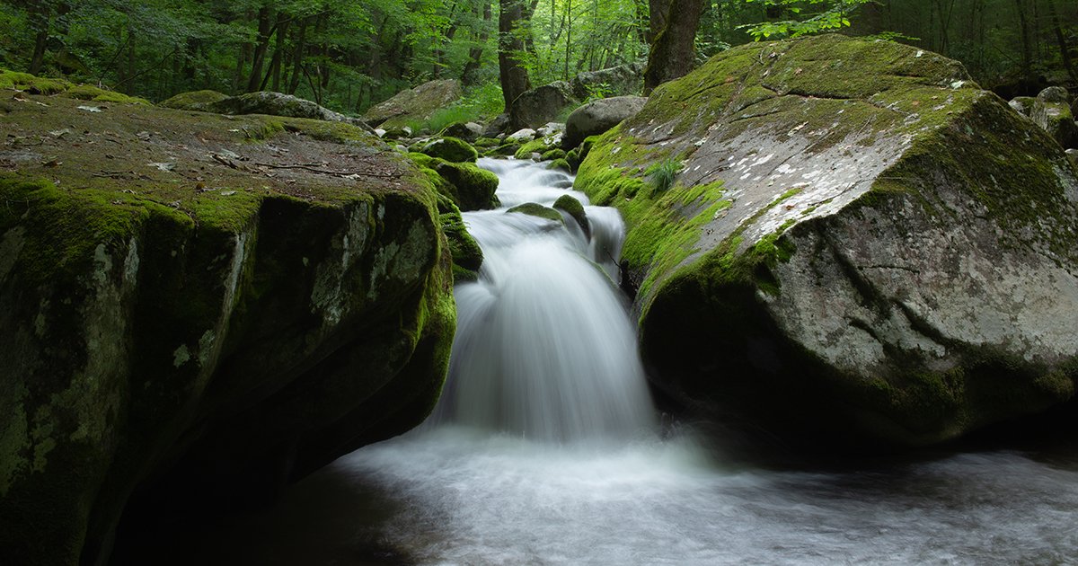 A recording of today's State Water Control Board meeting may be accessed here: youtu.be/tnJp5huJbcY
