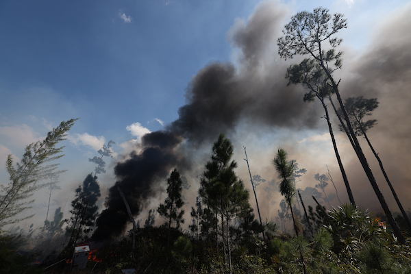 LIVE UPDATES: At 4.20pm, the blaze was just east of Family Life Kingdom Center on Carmichael Road with smoke billowing across the road toward several homes.
bit.ly/4l6Nbla