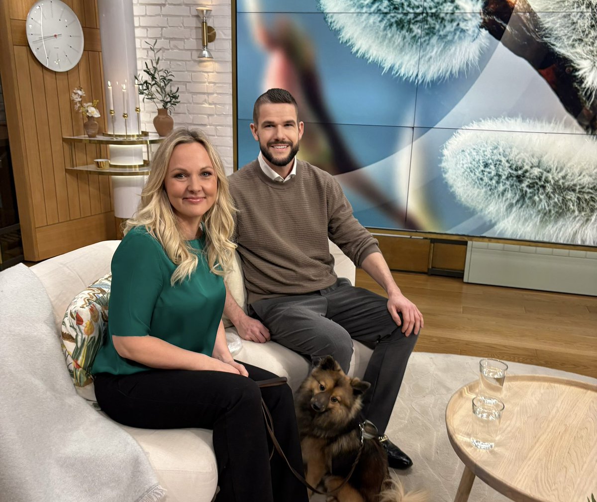 Johnny F Kroneld tweet media