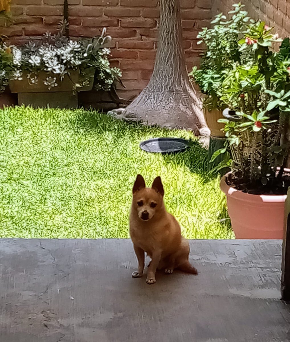 “La muerte no es el fin, solo otro camino que todos debemos tomar. La cortina de lluvia gris se retira, y todo se convierte en cristal plateado. Y entonces lo ves... Costas blancas, y más allá, un lejano país verde bajo un rápido amanecer.”

Nos vemos en otra vida ron. 🤍