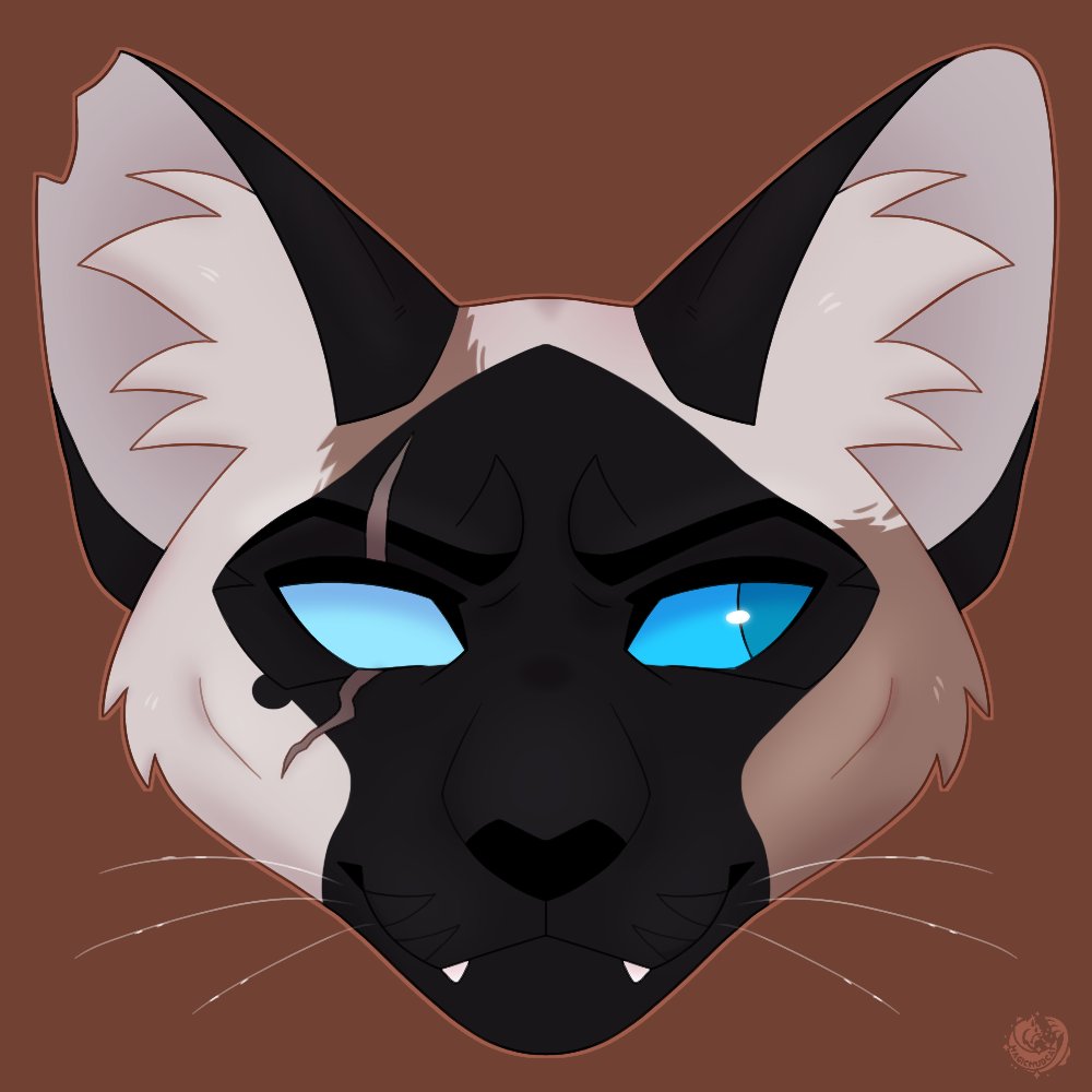 Atticus for diledog! I'm slowly working on drawing each of his characters. 😍